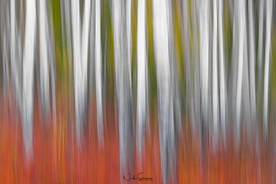 Abstract Nature Art for Sale