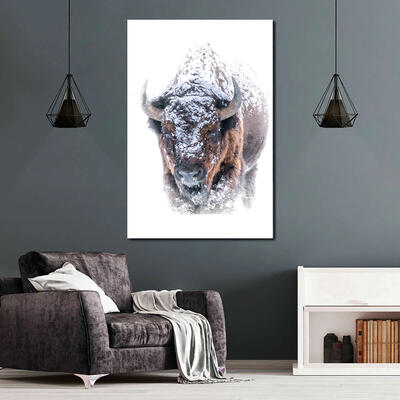 Big Canvas Nature Photography For Sale | Nick Selway
