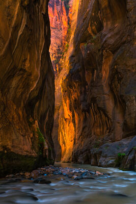 Photos of the Narrows in Zion National Park for Sale