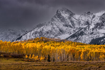 Colorado mountain art prints for sale