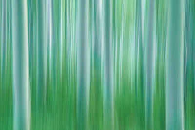 Abstract Photography in Nature for Sale