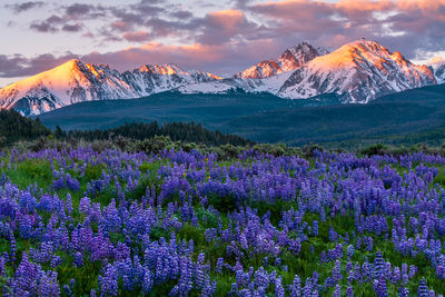 Breckenridge Photography Galleries | Colorado