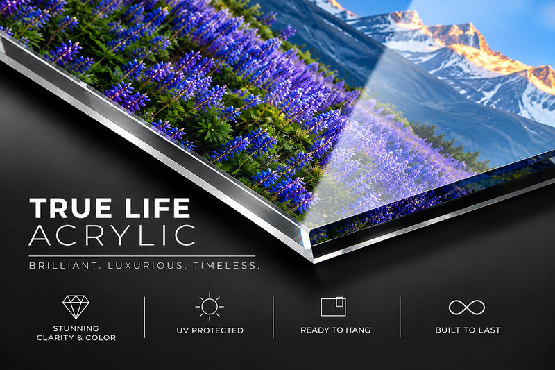 TRUE LIFE ACRYLIC | LIMITED EDITION