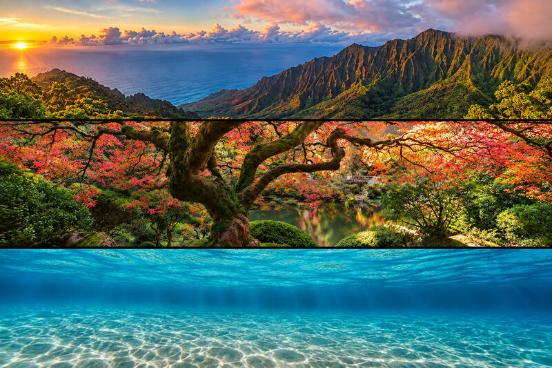 PANORAMIC FINE ART PHOTOGRAPHY