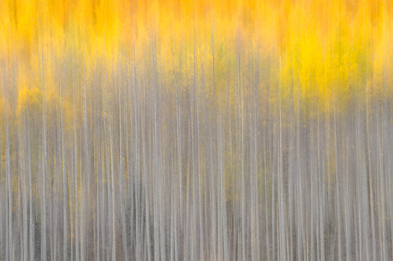 abstract fall color photos for sale