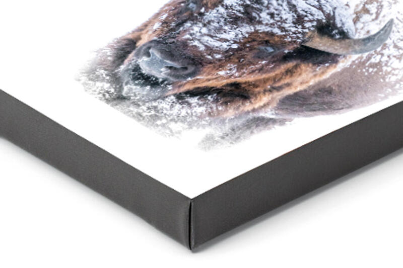 PREMIUM FINE ART GICLEE CANVAS WRAPS | READY TO HANG