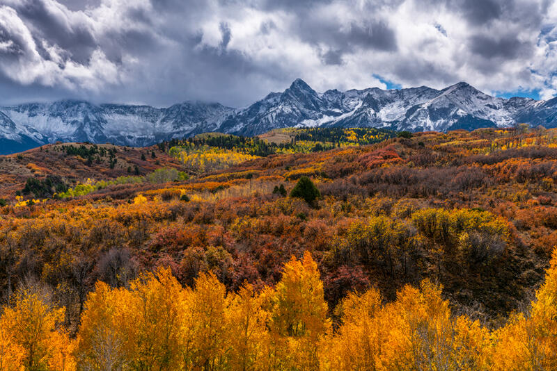 Colorado Fall Color Art Prints for Sale