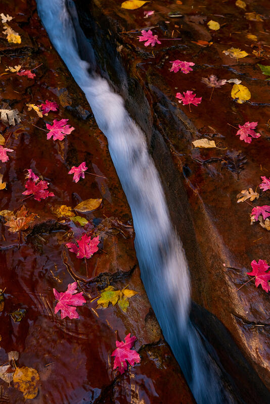 Zion national park fine art prints for sale,Utah