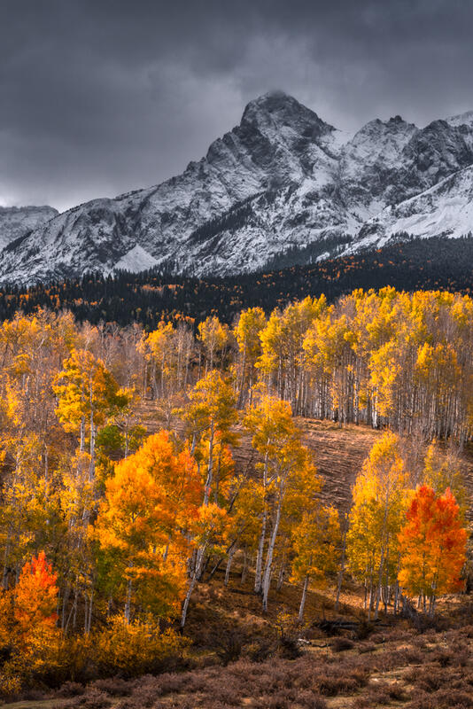 Dallas Divide landscape Photos for sale