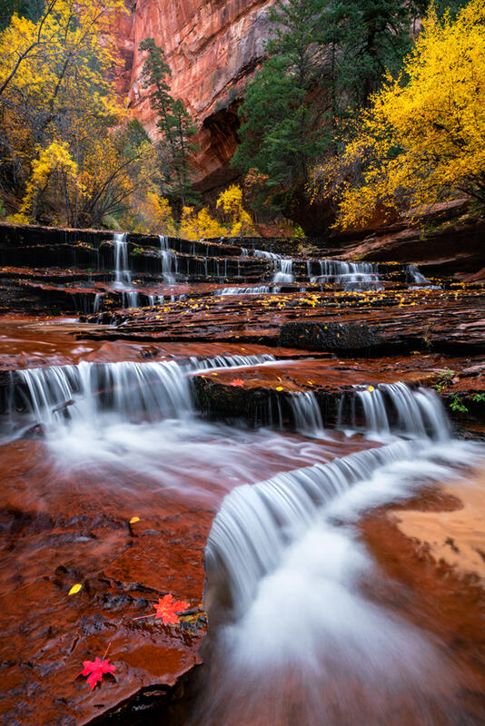 Images Zion National Park Utah for Sale