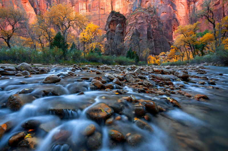 Zion National Park Fall Color Photos for Sale