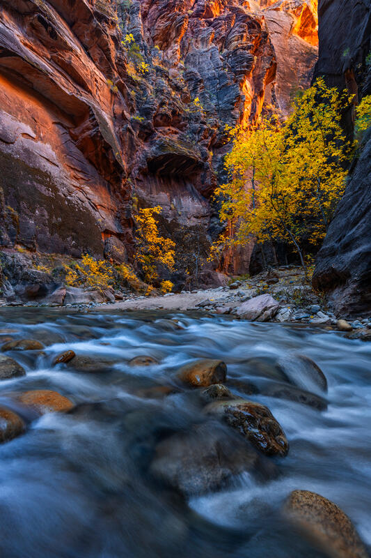 The Narrows,Zion National Park Fall Color Prints for Sale