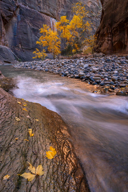 Large Format Zion Nat'l Park Prints for Sale