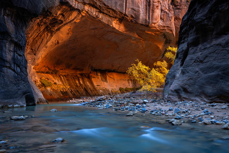 Zion Nat'l Park Autumn Prints for Sale
