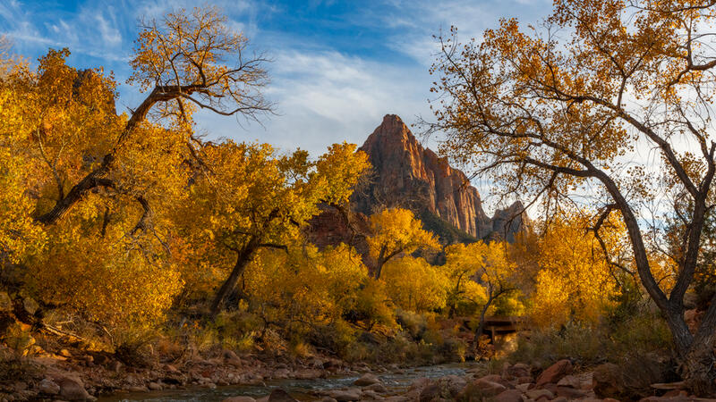 Watchman Zion Fall Color Photos for Sale
