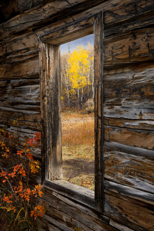 barn and aspen tree photos for sale