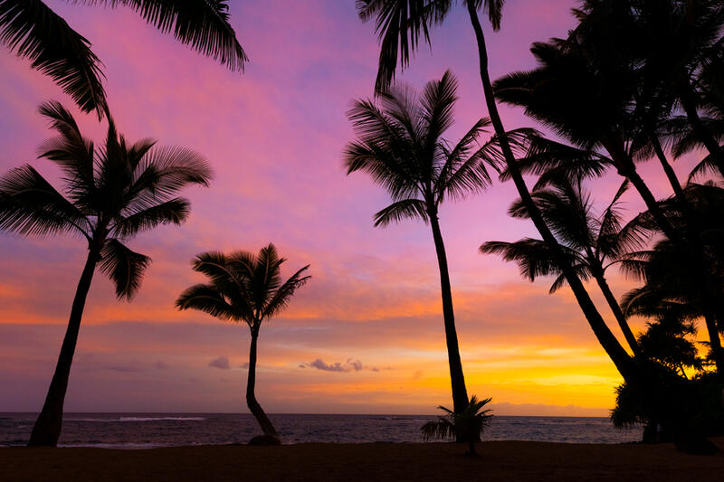 Maui sunrise art prints for sale