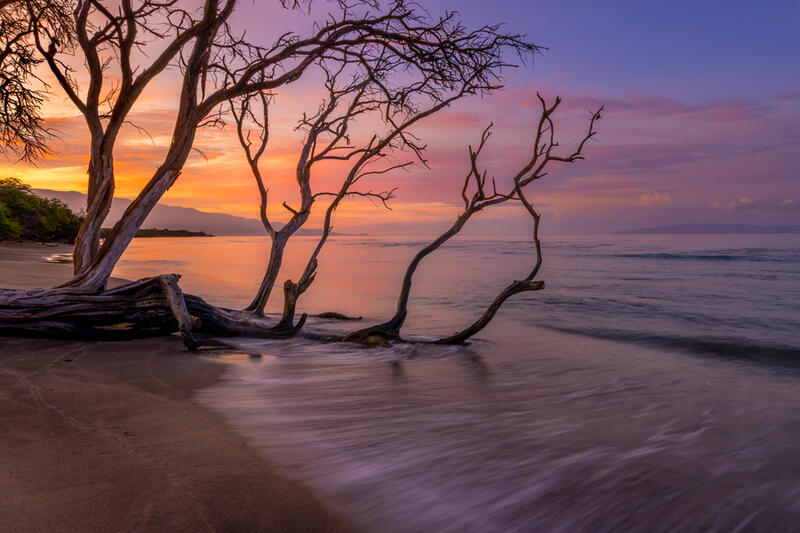 Maui nature photography for sale