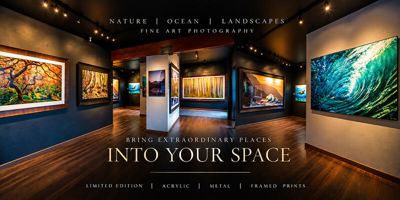 Peter Lik's Backlit Style Photography Explained | The Secret Behind the Glow
