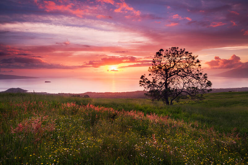 maui sunset fine art prints for sale