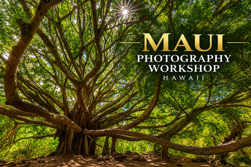 2027 MAUI PHOTOGRAPHY WORKSHOP