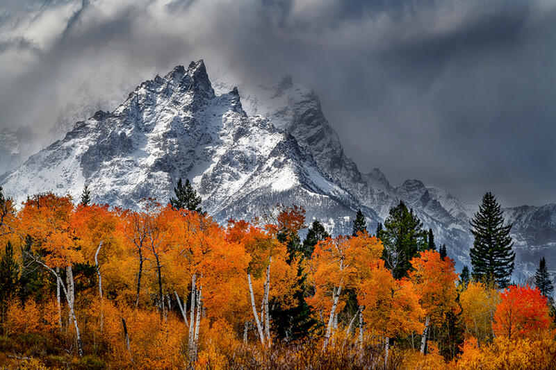 Grand Teton photos for sale