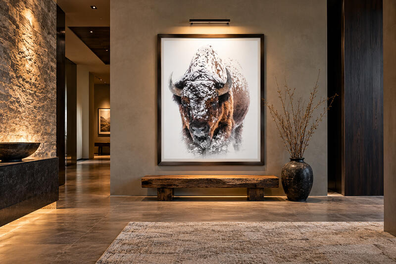 Wildlife Fine Art Photography Prints for Sale | Animal Kingdom