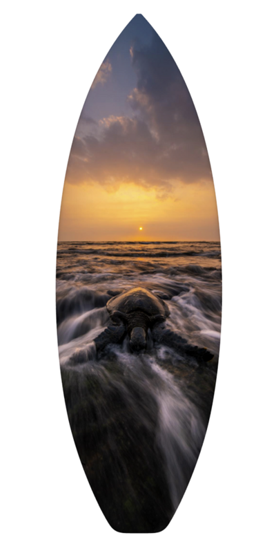 Hawaii sea turtle hanging surfboards for sale