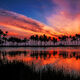 Paradise Reflections