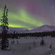 Winter Night