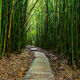 A Walk In Paradise