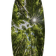 Reaching Up | Surfboard Art