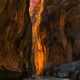 Canyon Glow - Photos of the Narrows in Zion National Park for Sale