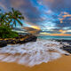 Tropical Light