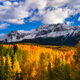 Fall Into Winter