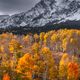 A Time of The Seasons