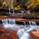 Arch Angel Falls - Images Zion National Park Utah for Sale
