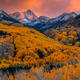 Autumn Splendor