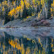Morning Mirror