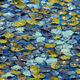 Fall Patterns