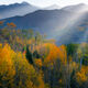 Autumn Rays