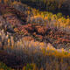Ridge Light