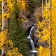 Golden Cascade