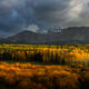 Chasing The Light