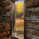 Autumn Views