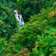 Tropical Flow
