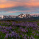 Mountain Hues