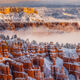 Snow Capped