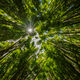 Reaching Up