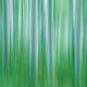 Silky Smooth - Abstract Photography in Nature for Sale